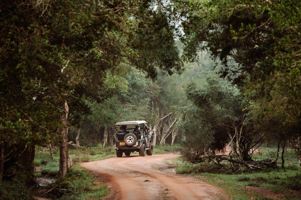 Wilpattu-National-Park-