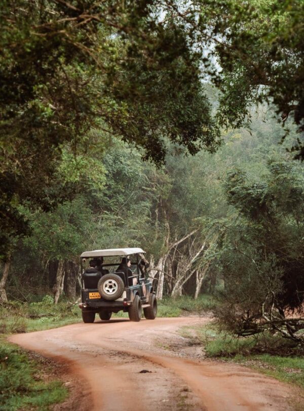 Wilpattu-National-Park-